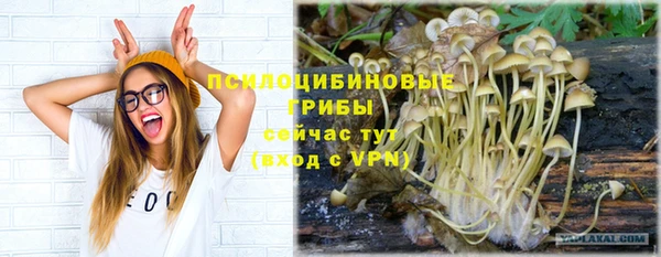 стафф Беломорск