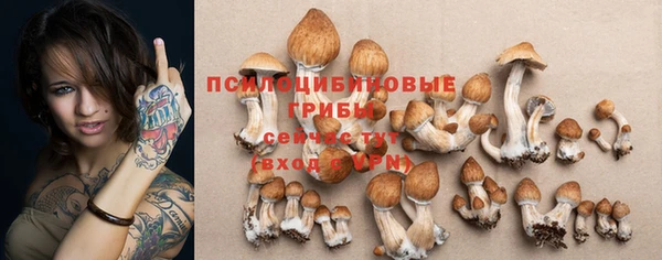 стафф Беломорск
