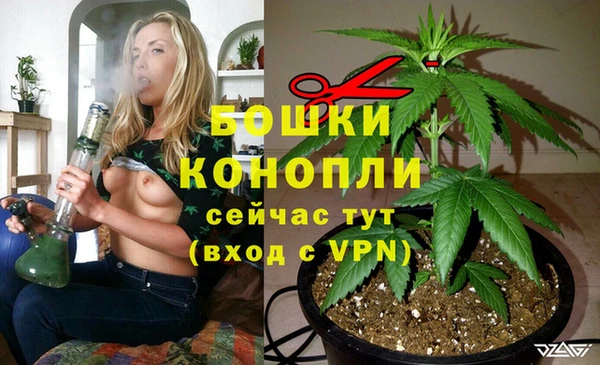 ALPHA-PVP Белокуриха