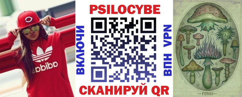 Псилоцибиновые грибы прущие грибы купить закладку Южа